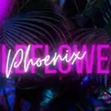 wildflowerphoenix